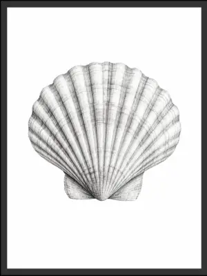 Main: Detailed black and white illustration of a fan-shaped scallop shell with ribbed texture — fine art nature wall art digital download. Short fallback: Black and white scallop shell wall art print.