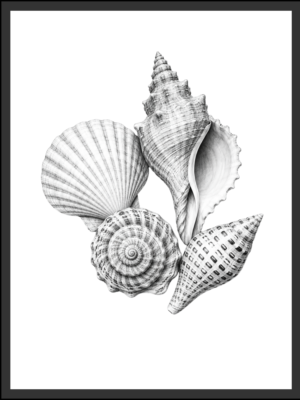 Main: Detailed black and white illustration of a collection of four seashells — a scallop, conch, spiral shell, and cone shell — against a white background. Fine art nature wall art digital download. Short fallback: Black and white seashell collection wall art print.