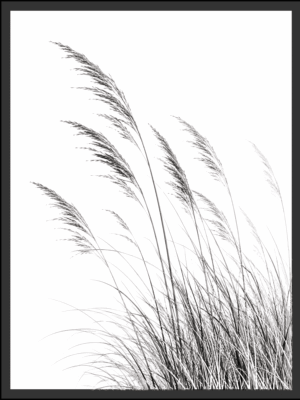 Main: Black and white photograph of tall beach grass swaying in the wind against a soft, airy background — fine art nature wall art digital download. Short fallback: Black and white beach grass nature photography print.