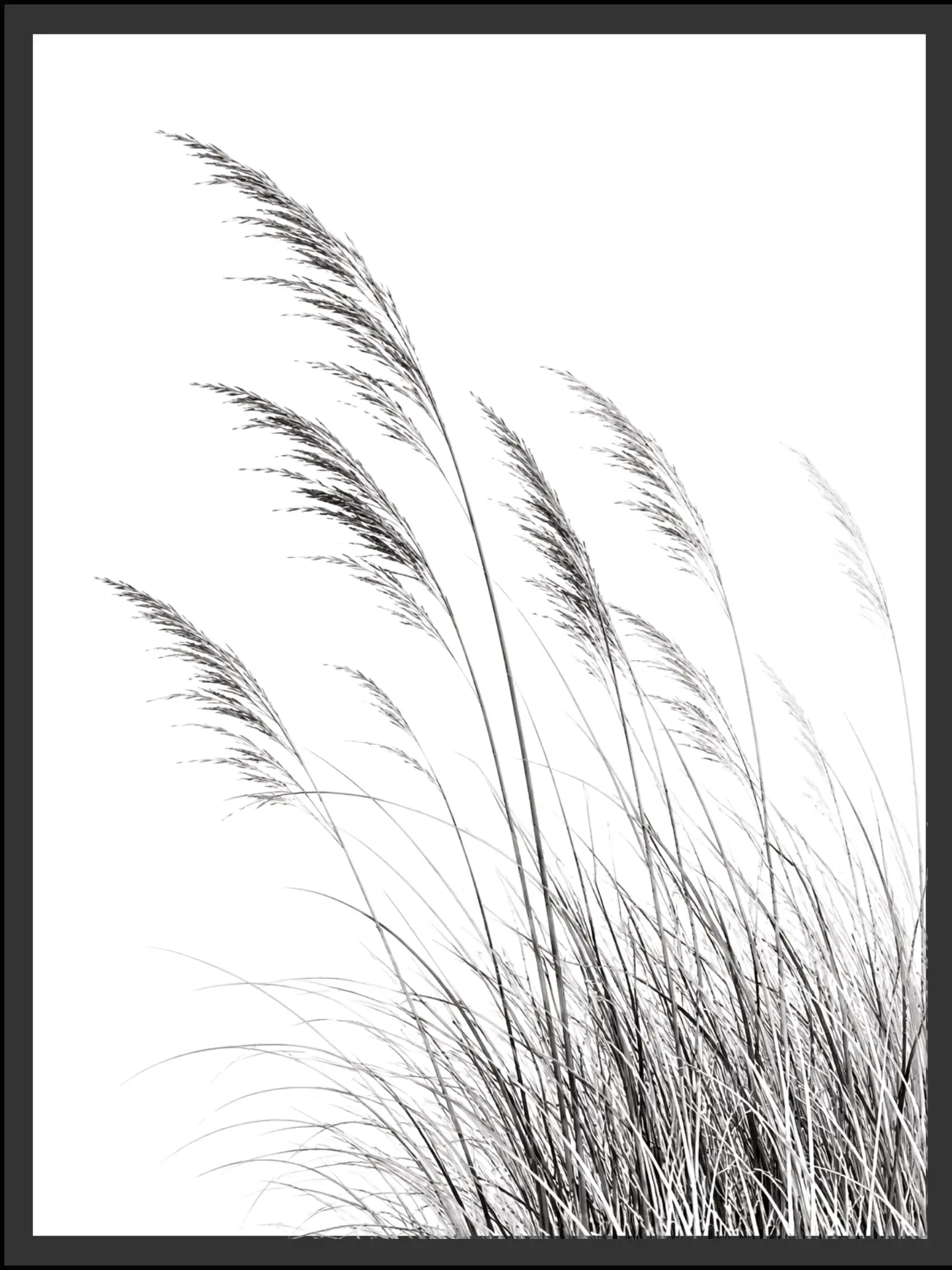 Main: Black and white photograph of tall beach grass swaying in the wind against a soft, airy background — fine art nature wall art digital download. Short fallback: Black and white beach grass nature photography print.