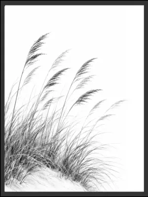 Main: Black and white photograph of a cluster of feathery dune grass rooted in sand, reaching toward a hazy sky — fine art nature wall art digital download. Short fallback: Black and white coastal dune grass nature photography print.
