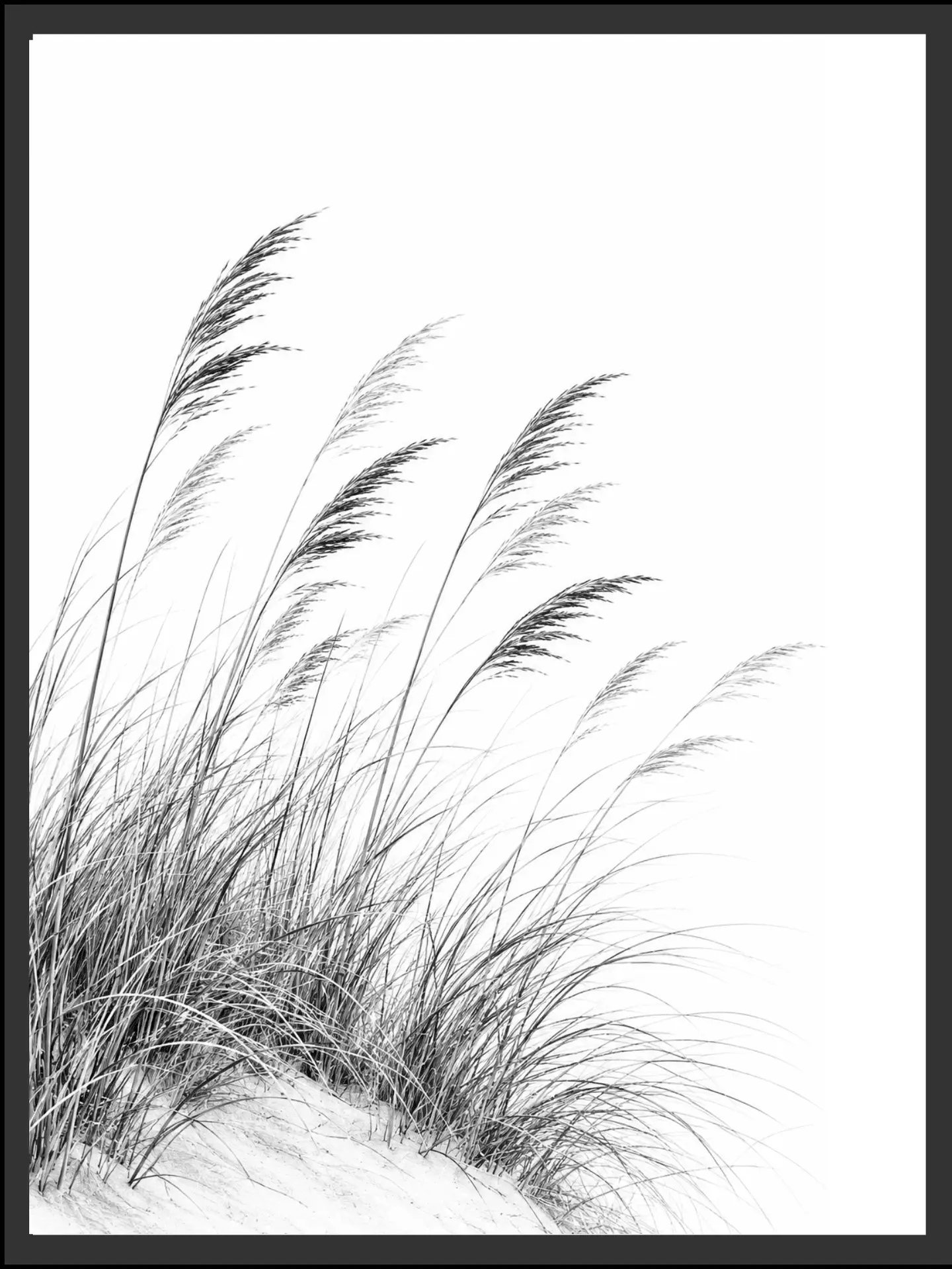 Main: Black and white photograph of a cluster of feathery dune grass rooted in sand, reaching toward a hazy sky — fine art nature wall art digital download. Short fallback: Black and white coastal dune grass nature photography print.