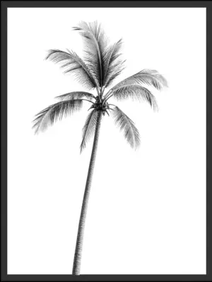 Main: Black and white photograph of a tall palm tree with fronds reaching toward a bright, hazy sky — fine art tropical wall art digital download. Short fallback: Black and white palm tree wall art print.