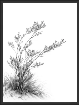 Main: Black and white photograph of a wind-shaped shrub with branching stems and leaf clusters, rooted in sand with grass at its base — fine art nature wall art digital download. Short fallback: Black and white wind-swept dune shrub nature photography print.