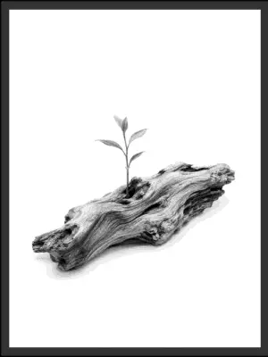 Main: Black and white photograph of a single small sprout growing from a piece of weathered driftwood against a clean studio background — fine art nature wall art digital download. Short fallback: Black and white driftwood sprout nature photography print.